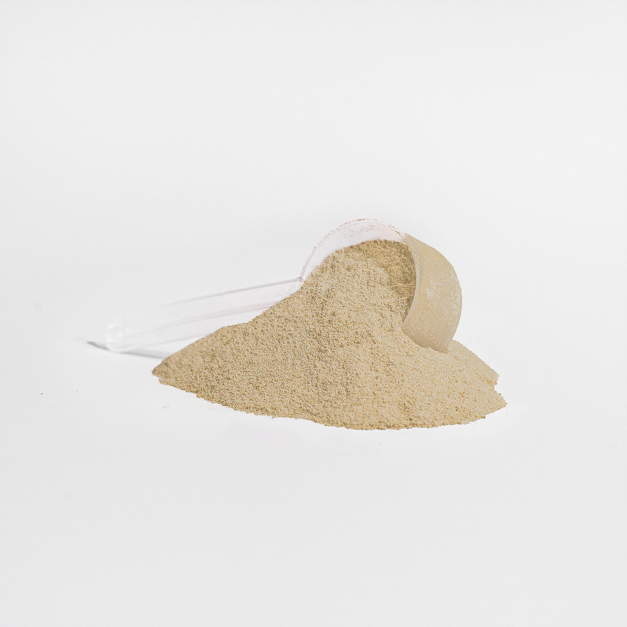 Vegan Plant Protein (Vanilla) (Member Pricing) - Image 2